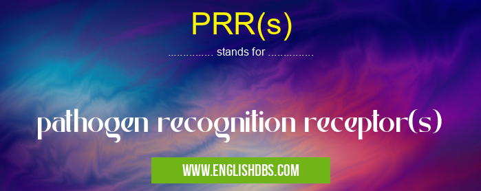 PRR(s) means pathogen recognition receptor(s) PRR(s)