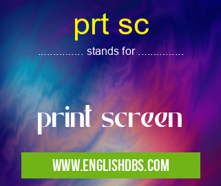 prt sc means print screen prt sc