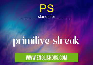 PS means primitive streak PS