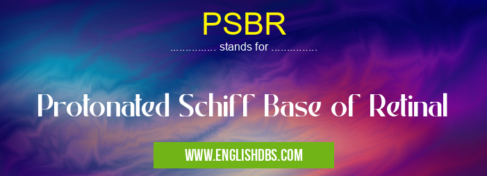 PSBR means Protonated Schiff Base of Retinal PSBR