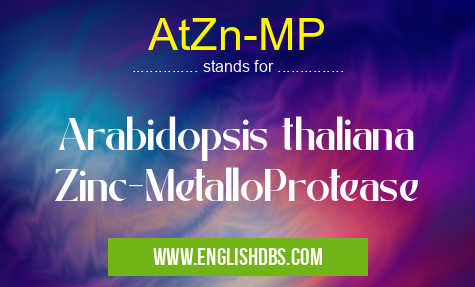 AtZn-MP means Arabidopsis thaliana Zinc-MetalloProtease AtZn-MP