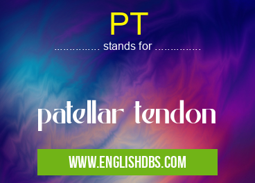 PT means patellar tendon PT