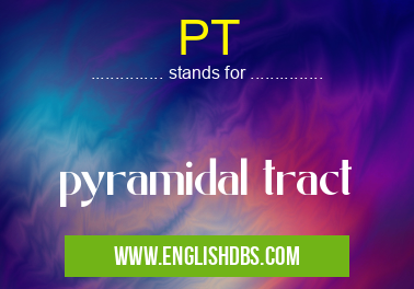 PT means pyramidal tract PT