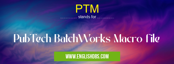PTM means PubTech BatchWorks Macro file PTM