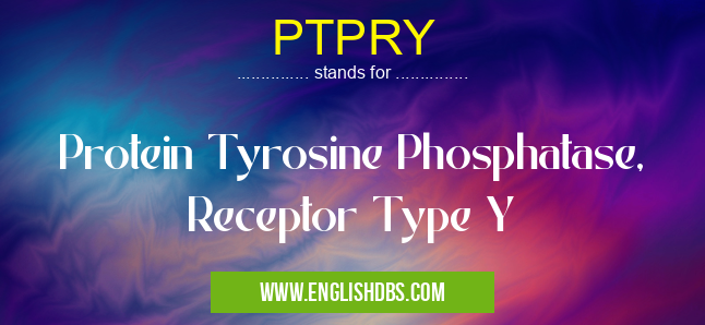 PTPRY means Protein Tyrosine Phosphatase, Receptor Type Y PTPRY