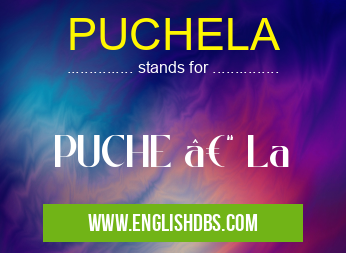 PUCHELA means PUCHE – La PUCHELA