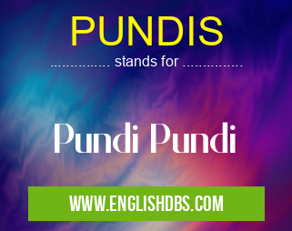 PUNDIS means Pundi Pundi PUNDIS