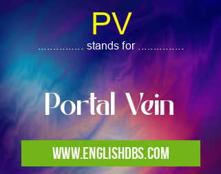 PV means Portal Vein PV