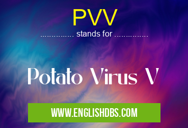 PVV means Potato Virus V PVV