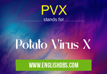 PVX means Potato Virus X PVX