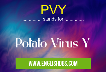 PVY means Potato Virus Y PVY