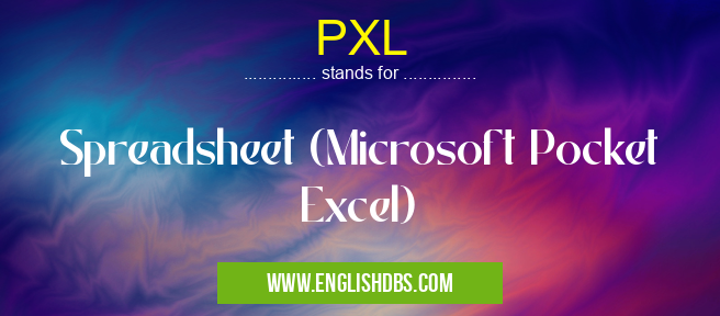 PXL means Spreadsheet (Microsoft Pocket Excel) PXL