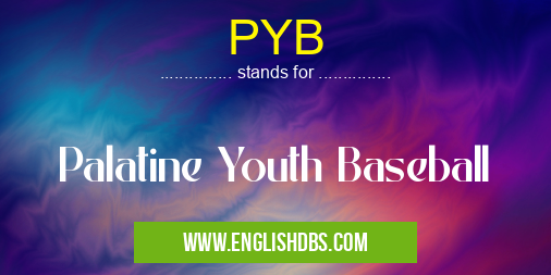 PYB means Palatine Youth Baseball PYB