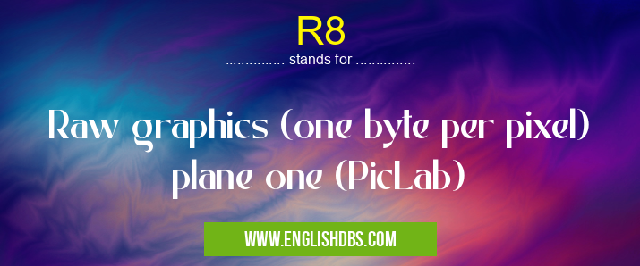R8 means Raw graphics (one byte per pixel) plane one (PicLab) R8
