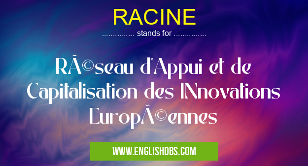 RACINE means Réseau d'Appui et de Capitalisation des INnovations Européennes RACINE