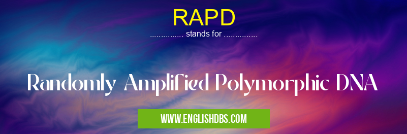 RAPD means Randomly Amplified Polymorphic DNA RAPD
