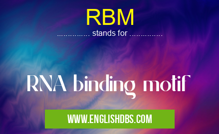 RBM means RNA binding motif RBM