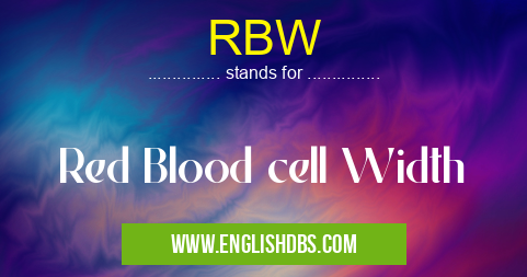 RBW means Red Blood cell Width RBW