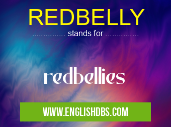 REDBELLY means redbellies REDBELLY