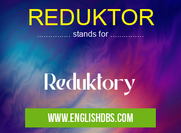 REDUKTOR means Reduktory REDUKTOR