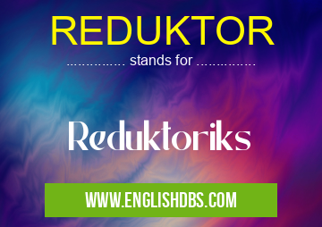 REDUKTOR means Reduktoriks REDUKTOR