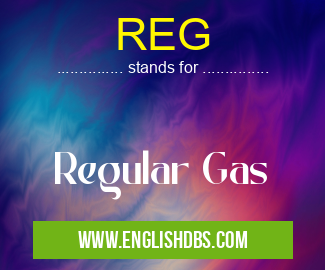 REG means Regular Gas REG