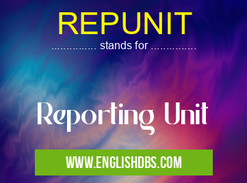 REPUNIT means Reporting Unit REPUNIT