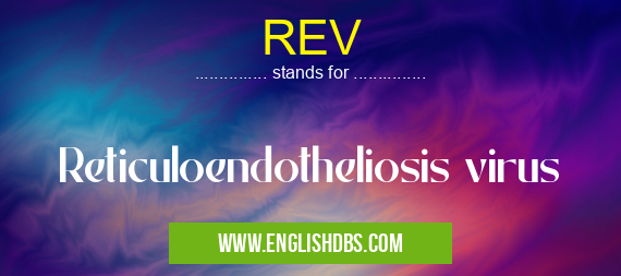 REV means Reticuloendotheliosis virus REV