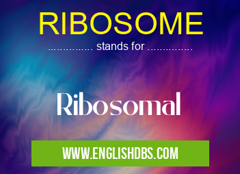 RIBOSOME means Ribosomal RIBOSOME