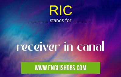 RIC means receiver in canal RIC