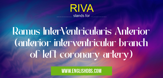 RIVA means Ramus InterVentricularis Anterior (anterior interventricular branch of left coronary artery) RIVA