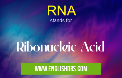 RNA means Ribonucleic Acid RNA