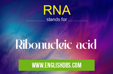 RNA means Ribonucleic acid RNA