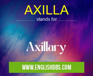 AXILLA means Axillary AXILLA