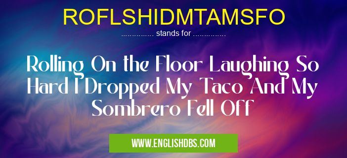 ROFLSHIDMTAMSFO means Rolling On the Floor Laughing So Hard I Dropped My Taco And My Sombrero Fell Off ROFLSHIDMTAMSFO