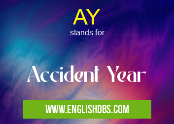 AY means Accident Year AY