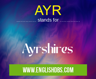 AYR means Ayrshires AYR