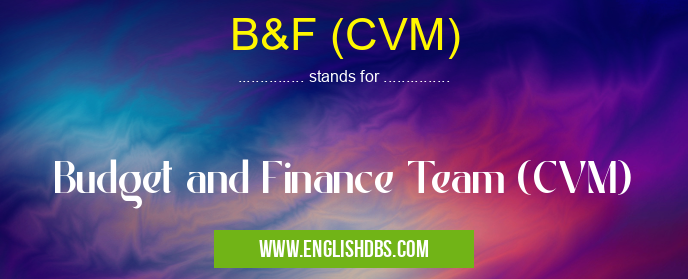 B&F (CVM) means Budget and Finance Team (CVM) B&F (CVM)