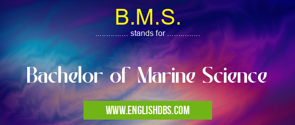 B.M.S.