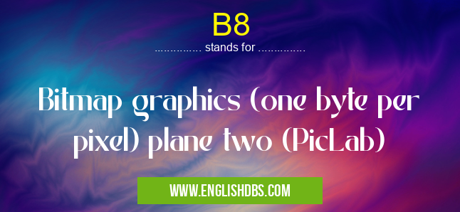 B8 means Bitmap graphics (one byte per pixel) plane two (PicLab) B8