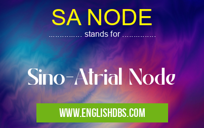 SA NODE means Sino-Atrial Node SA NODE