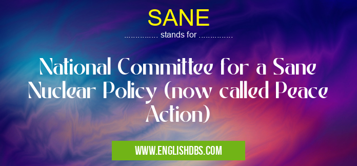 SANE means National Committee for a Sane Nuclear Policy (now called Peace Action) SANE