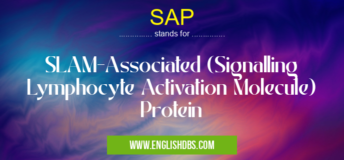 SAP means SLAM-Associated (Signalling Lymphocyte Activation Molecule) Protein SAP