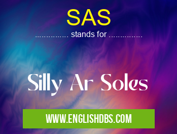 SAS means Silly Ar Soles SAS