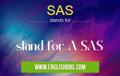 SAS means stand for A SAS SAS