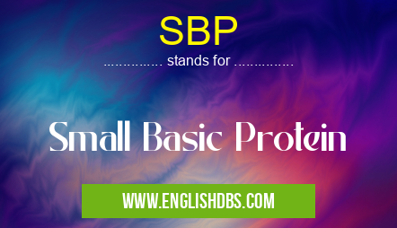 SBP means Small Basic Protein SBP
