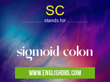 SC means sigmoid colon SC