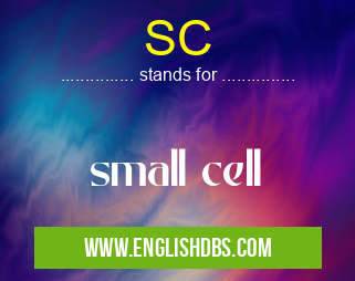 SC means small cell SC