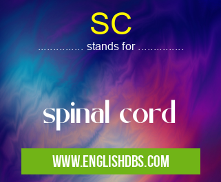 SC means spinal cord SC