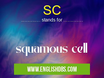 SC means squamous cell SC